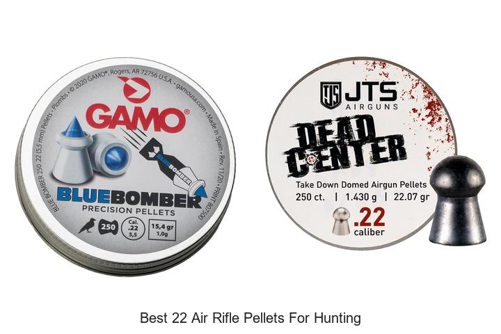 Top 12 Best 22 Air Rifle Pellets for Hunting Revealed!