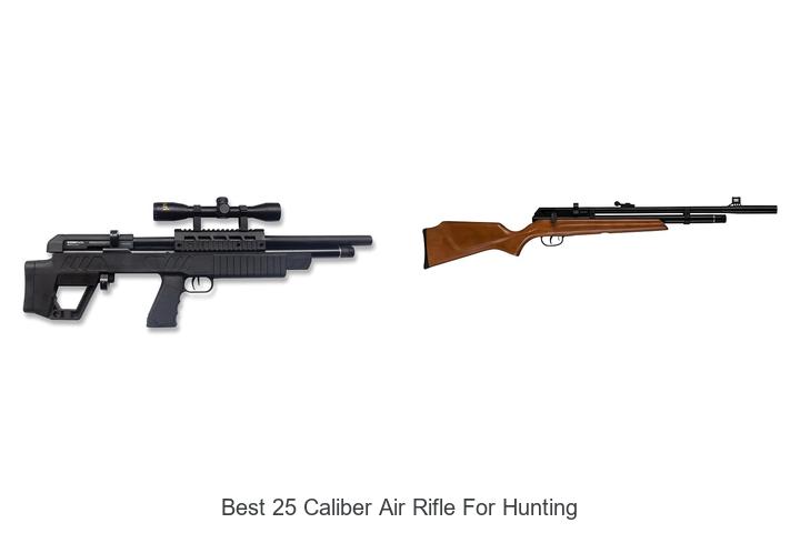 Top 12 Best 25 Caliber Air Rifle for Hunting Revealed!
