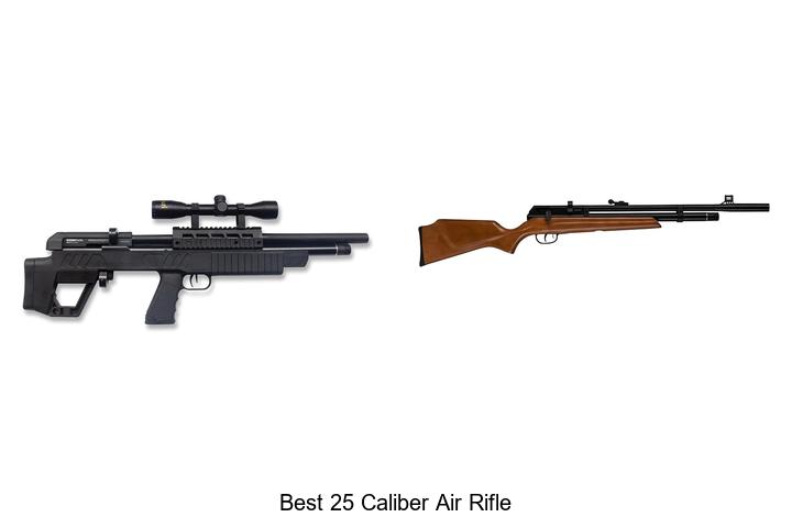 Top 12 Best 25 Caliber Air Rifle That Will Blow You Away