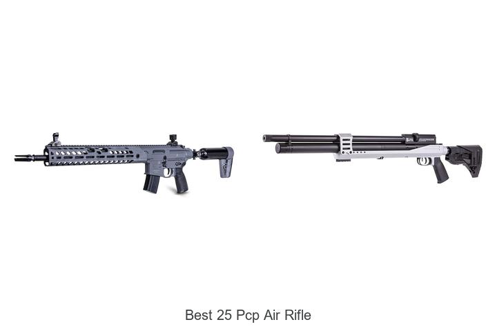 Top 12 Best 25 PCP Air Rifle That Shooters Swear By!