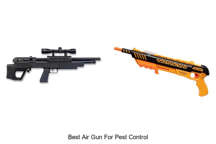Top 12 Best Air Gun For Pest Control You Need Now