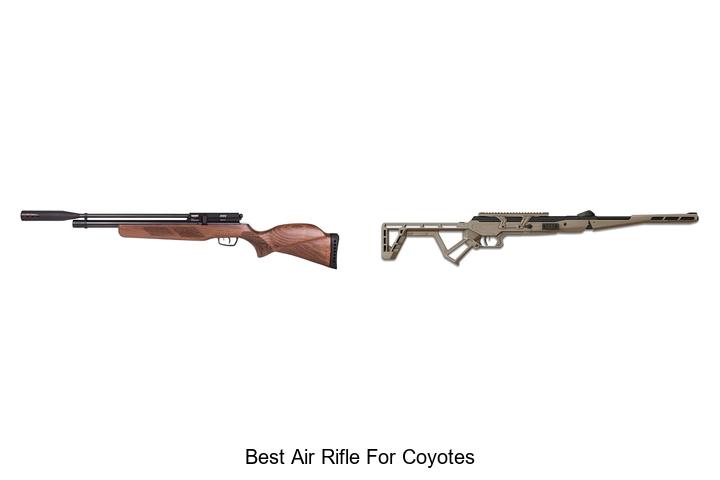 Top 12 Best Air Rifle For Coyotes That Hunters Swear By