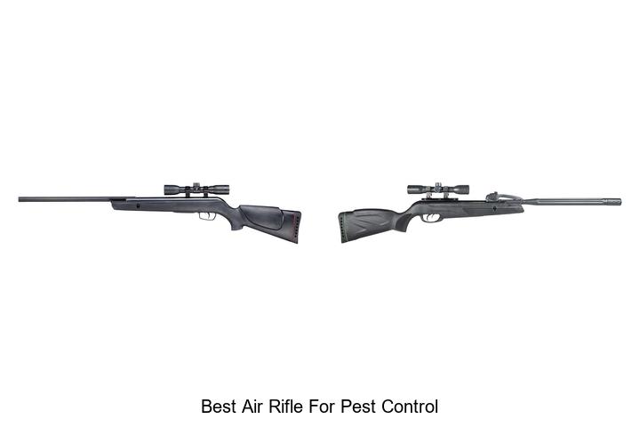 Top 12 Best Air Rifle For Pest Control That Actually Works
