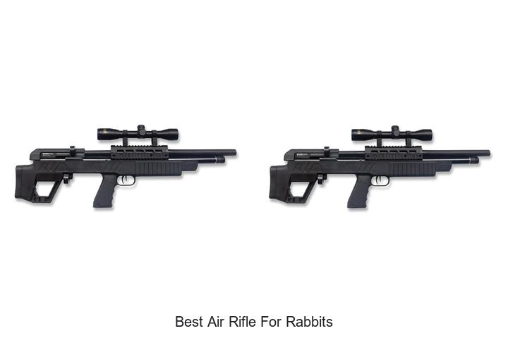 Top 12 Best Air Rifle for Rabbits You Can’t Miss Today