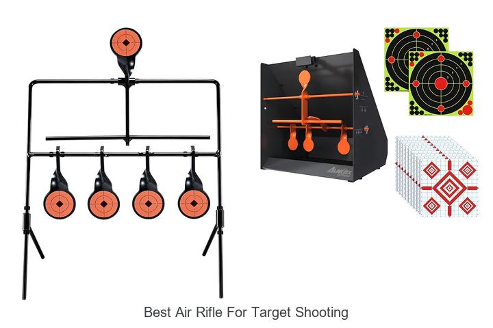Top 12 Best Air Rifle for Target Shooting You Must Try
