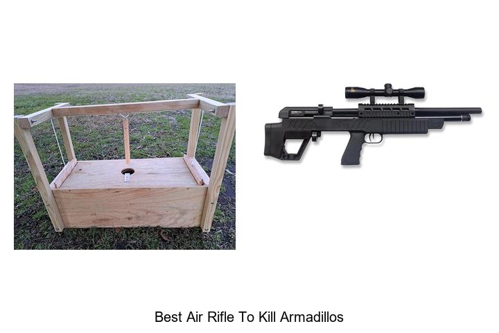 Top 12 Best Air Rifle To Kill Armadillos Fast & Deadly