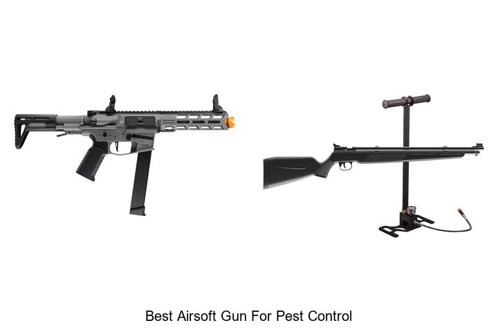 Top 12 Best Airsoft Gun for Pest Control You Need Now