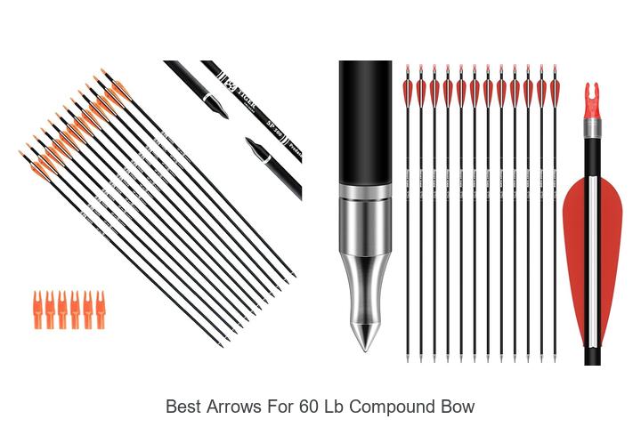 Top 12 Best Arrows For 60 Lb Compound Bow That Dominate