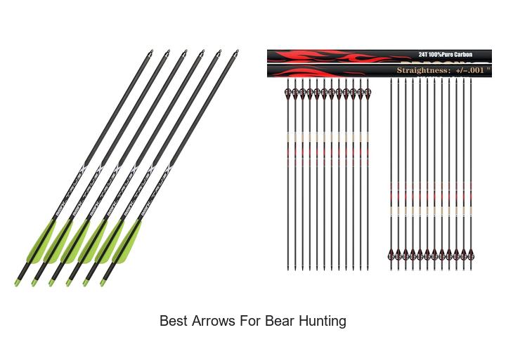 Top 12 Best Arrows for Bear Hunting That Guarantee Success