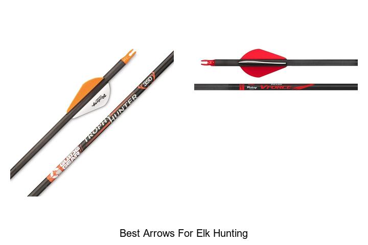 Top 12 Best Arrows for Elk Hunting That Guarantee Success