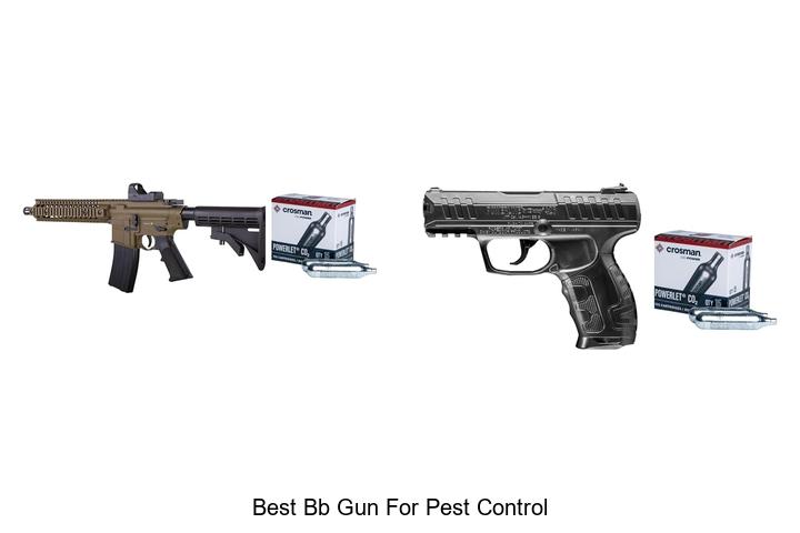 Top 12 Best BB Gun For Pest Control That Really Works!
