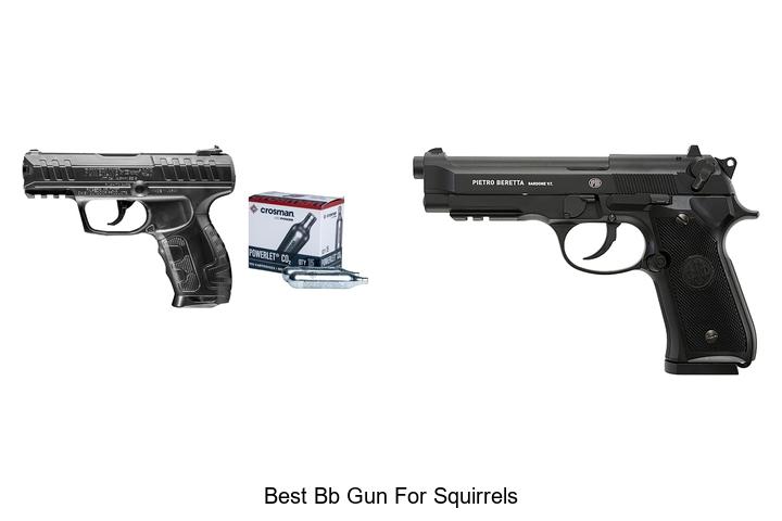 Top 12 Best BB Gun For Squirrels That Hunters Swear By