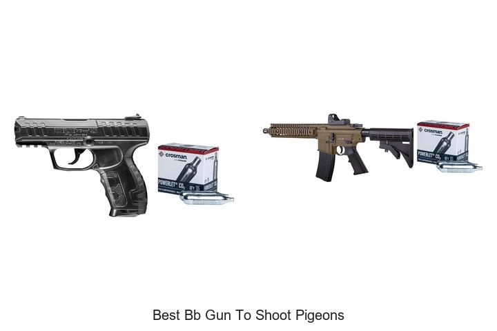 Top 12 Best BB Gun to Shoot Pigeons You Must Try Now