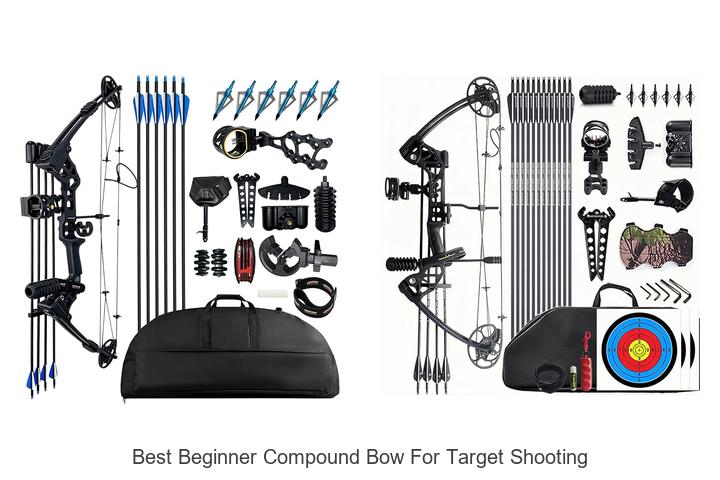 Top 12 Best Beginner Compound Bow for Target Shooting Guide