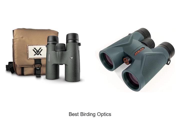 Top 12 Best Birding Optics You Can’t Miss Today!