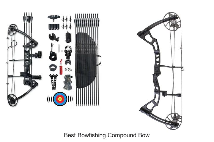 Top 12 Best Bowfishing Compound Bow You Can’t Miss!