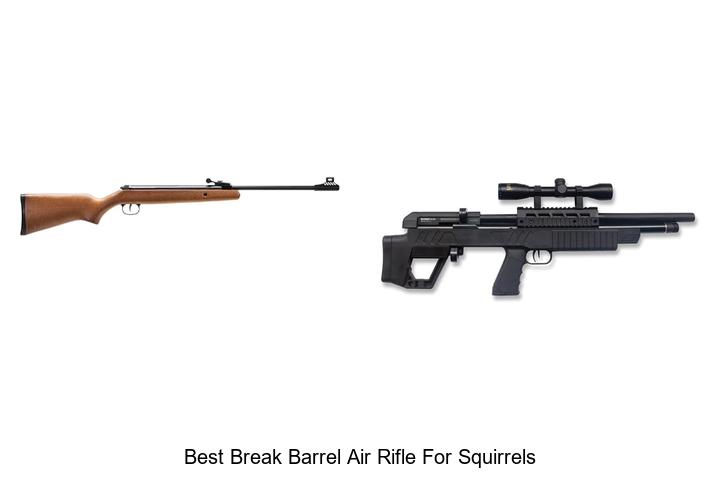 Top 12 Best Break Barrel Air Rifle for Squirrels Reviewed!
