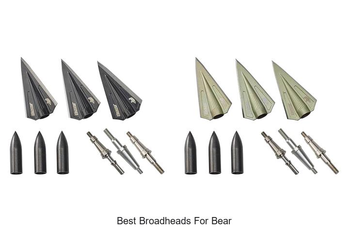 Top 12 Best Broadheads for Bear That Hunters Swear By!