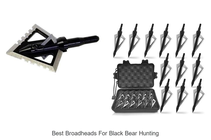 Top 12 Best Broadheads For Black Bear Hunting You Need Now