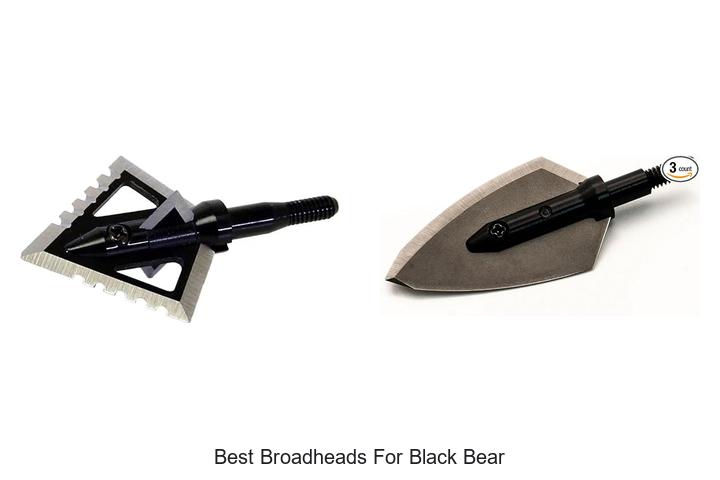 Top 12 Best Broadheads for Black Bear That Hunt Like Pros
