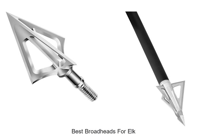 Top 12 Best Broadheads For Elk That Will Change Your Hunt