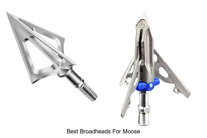 Top 12 Best Broadheads for Moose That Guarantee Precision!