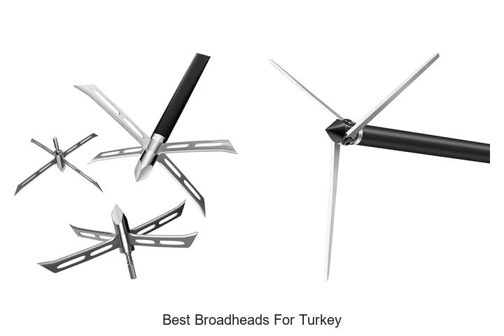 Top 12 Best Broadheads For Turkey That Will Boost Your Hunt