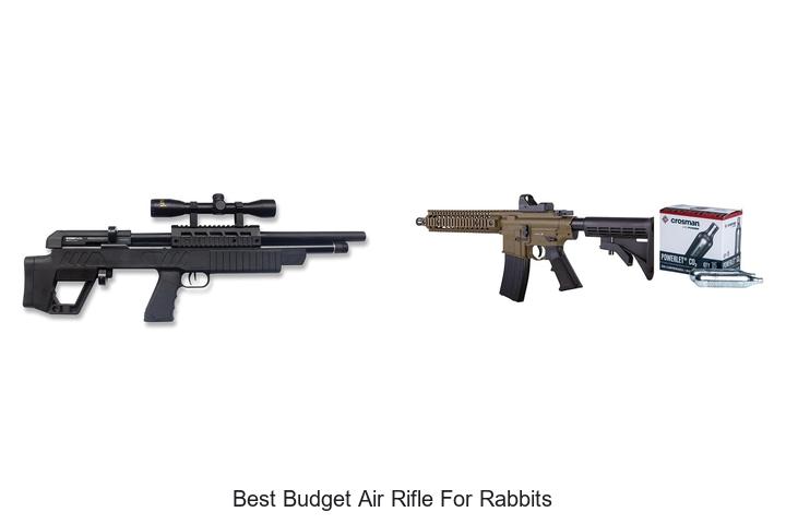 Top 12 Best Budget Air Rifle For Rabbits That Surprise You!