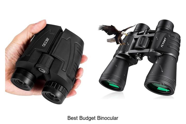 Top 12 Best Budget Binoculars That Will Blow Your Mind!