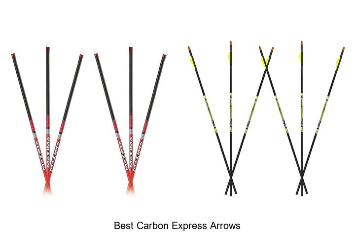 Top 12 Best Carbon Express Arrows That Will Boost Accuracy