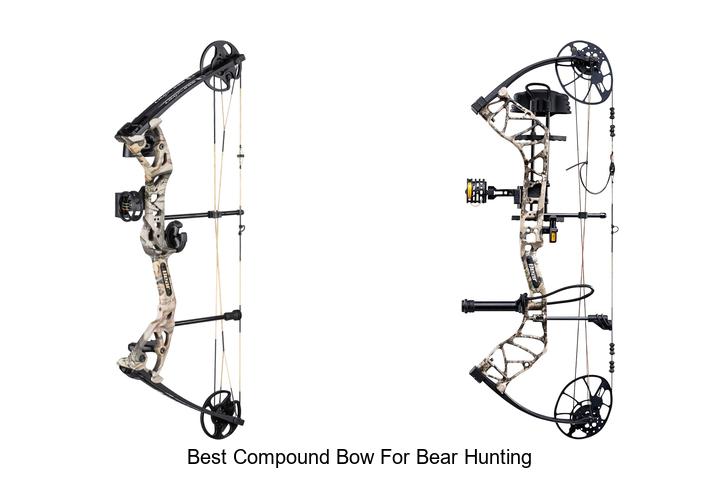 Top 12 Best Compound Bow for Bear Hunting Revealed Now!
