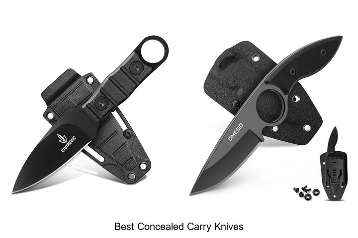 Top 12 Best Concealed Carry Knives You Can’t Miss Now