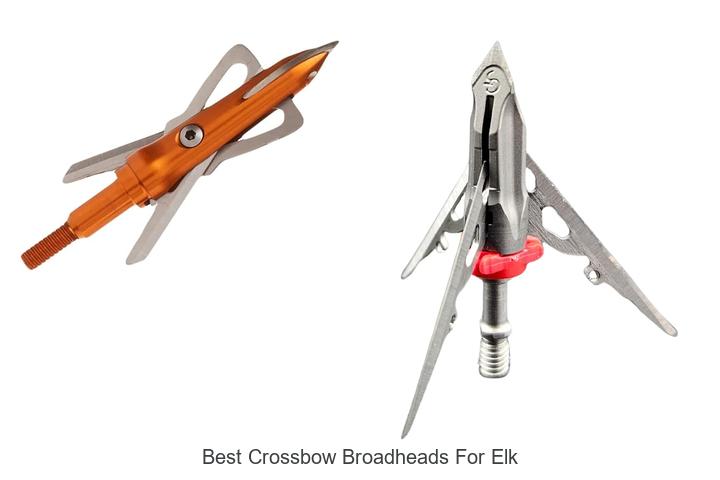 Top 12 Best Crossbow Broadheads for Elk You Must Try!