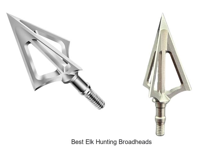 Top 12 Best Elk Hunting Broadheads That Guarantee Hits