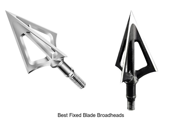Top 12 Best Fixed Blade Broadheads You Can’t Miss