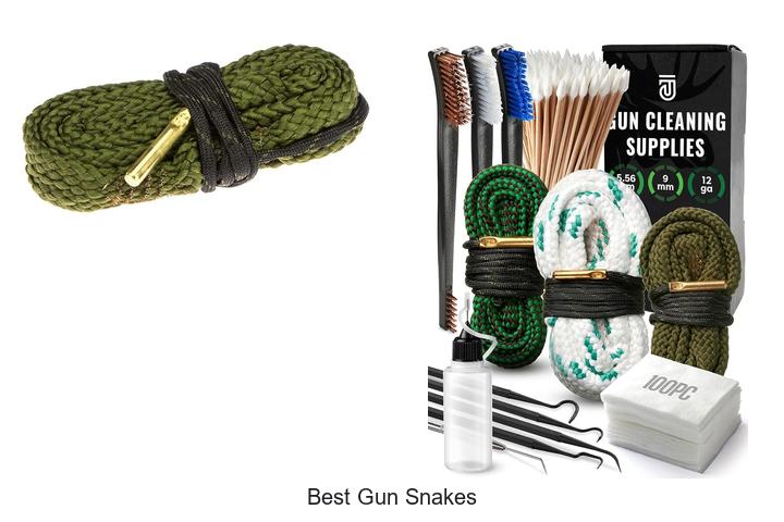 Top 12 Best Gun Snakes That Will Blow Your Mind!