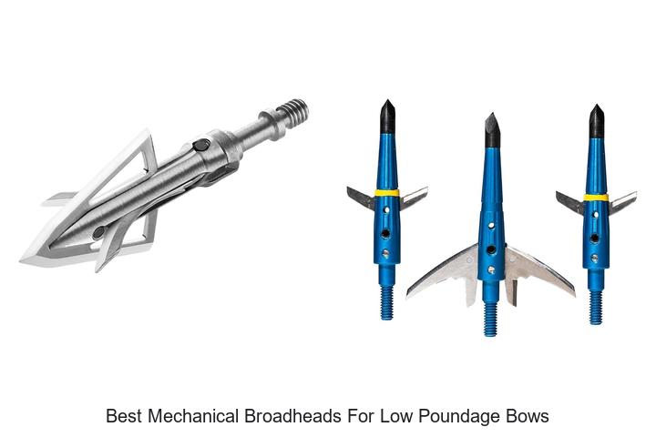Top 12 Best Mechanical Broadheads for Low Poundage Bows That Crush