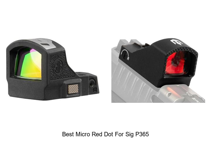 Top 12 Best Micro Red Dot for Sig P365 That Will Shock You!