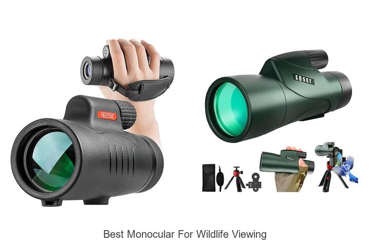Top 12 Best Monocular for Wildlife Viewing You Need Now