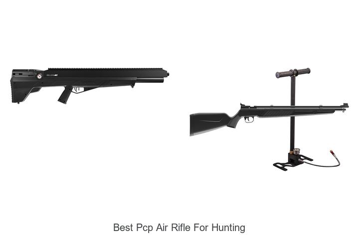 Top 12 Best PCP Air Rifle for Hunting You Can’t Miss!