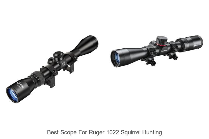Top 12 Best Scope For Ruger 1022 Squirrel Hunting Revealed!