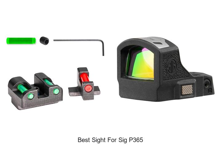 Top 12 Best Sight For Sig P365 That Will Blow Your Mind