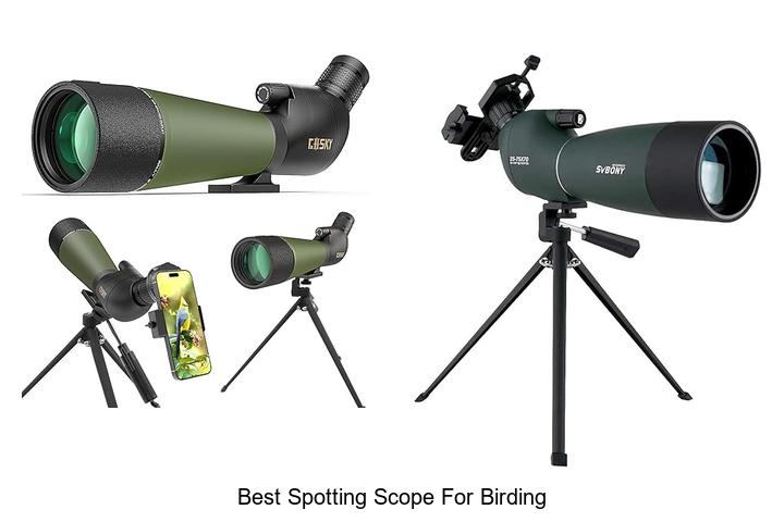 Top 12 Best Spotting Scope for Birding You Can’t Miss!