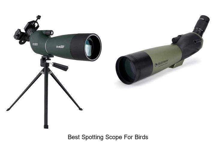 Top 12 Best Spotting Scope for Birds You Can’t Miss