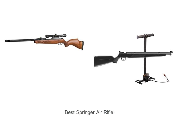 Top 12 Best Springer Air Rifle That Will Blow Your Mind