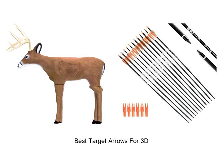 Top 12 Best Target Arrows for 3D You Can’t Miss Today